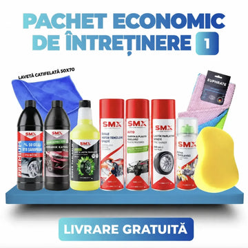 PACHET-ECONOMIC-1
